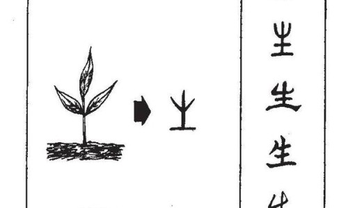 羧甲司坦片的作用与主治及禁忌-羧甲司坦片百度百科专区_羧甲司坦颗粒功效和作用专区_羧甲司坦颗粒作用功效网